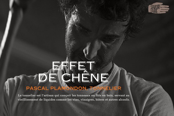 savoir faire pascal plamondon website homepage